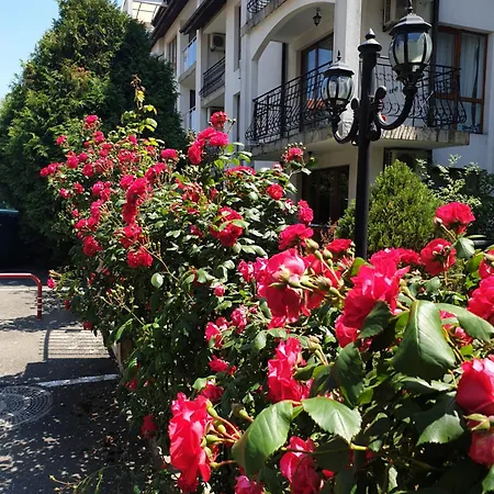 La Terrace Sea View * سفيتي فلاس