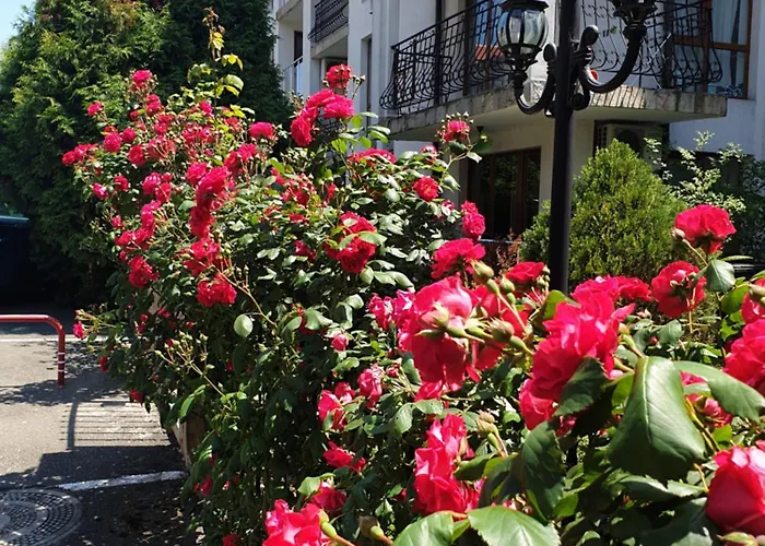 La Terrace Sea View * スヴェティ・ヴラス